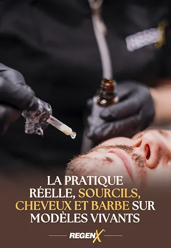 07 - Le septième module